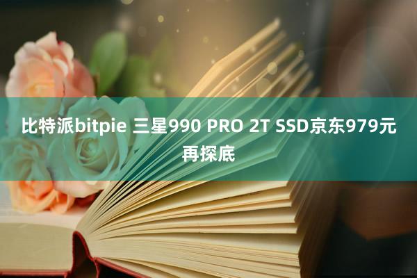 比特派bitpie 三星990 PRO 2T SSD京东979元再探底